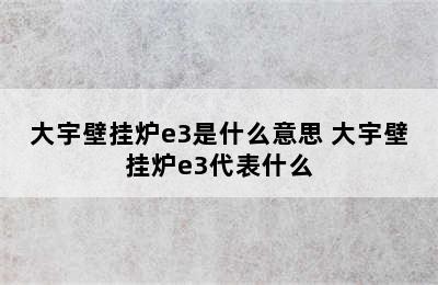 大宇壁挂炉e3是什么意思 大宇壁挂炉e3代表什么